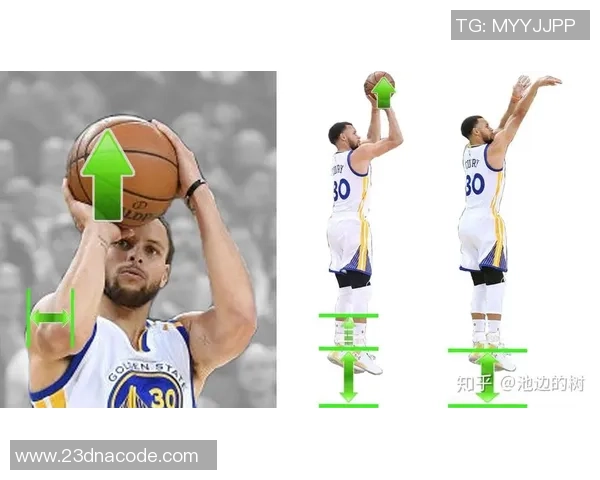 从零开始：篮球灵活性完全攻略