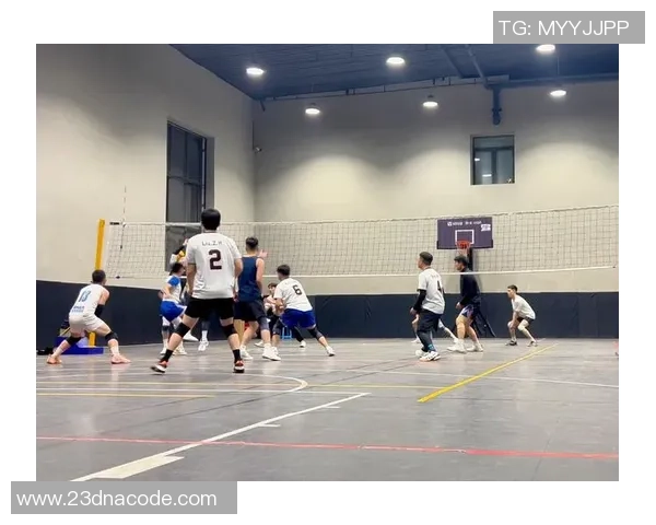 聚焦排球：成都排球队的速度话题