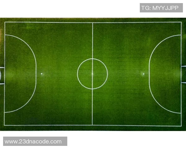 足球巨献：探秘南京足球队的战术