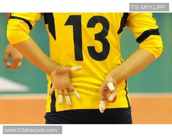 对话杨静：谈排球生涯