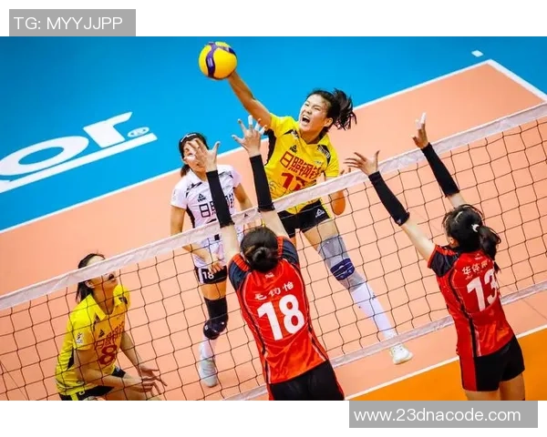 排球纪实：记录南京排球队的奋斗经历