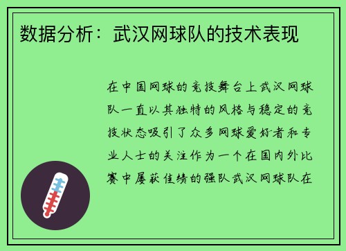 数据分析：武汉网球队的技术表现