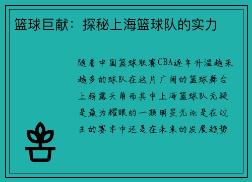 篮球巨献：探秘上海篮球队的实力