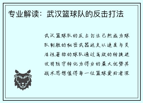 专业解读：武汉篮球队的反击打法